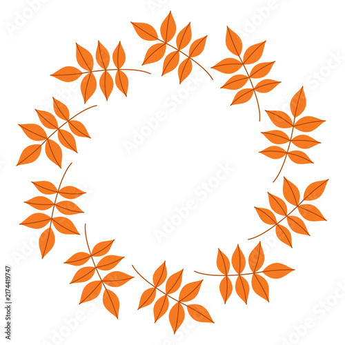 Autumn rowan leaves round frame vector icon with orange fall foliage wreath isolated on white background. Botanical seasonal frame for fall, harvest, nature, Thanksgiving, crafts, decorative design.