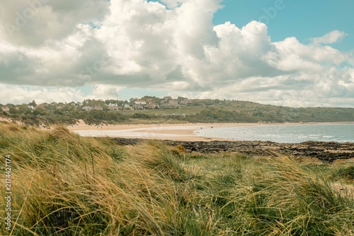Fotografía Windswept fescue grasses anchors shifting sand dunes where wild coast meets sea