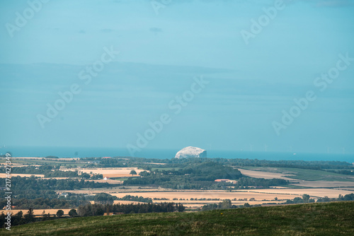 far away view of golden fields of wheat