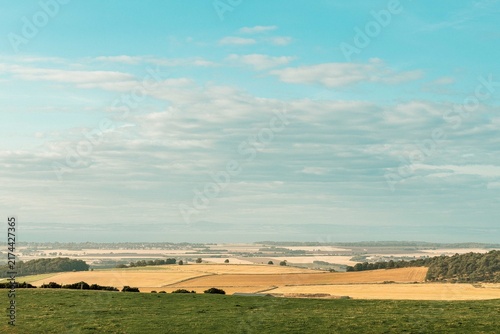 far away view of golden fields of wheat
