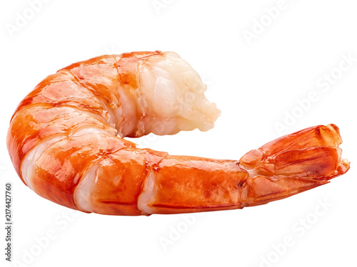 Single cooked shrimp with orange and white segments on black prawn seafood shrimp, prawn, seafood, cooked, peeled, tail on, orange, white, segmented, curved, isolated, black background, food, delicacy