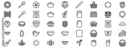 Black and white raspberry fruit, leaves, and berries set
