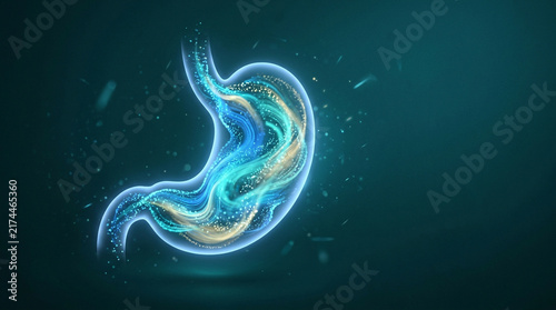 Obraz na płótnie Human stomach anatomy with glowing particles