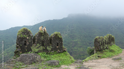 Fortress of Pavagadh During Rainy Days with Greenery, Champaner Pavagadh, Gujarat, India.