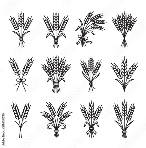 Wheat stalks tied with ribbons in a collection of decorative agricultural icons for harvest themes