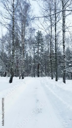 A beautiful snow-covered landscape. A sunlit, snow-covered forest path with frost-covered pine trees and snowdrifts
