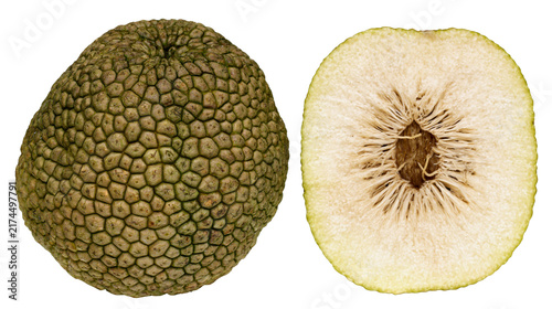 Fotografie Isolated fresh whole and cut half breadfruit tropical fruit, nutritious and ready for cooking