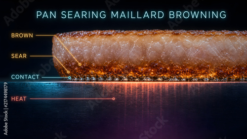 Pan Searing Maillard Browning Infographic