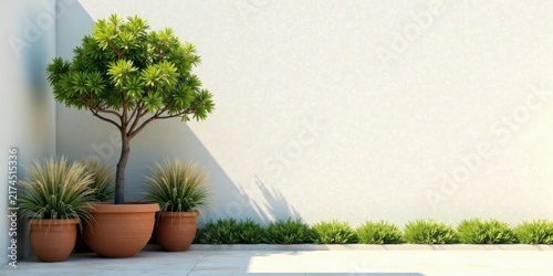Serene Courtyard Design Featuring a Lush Tree and Ornamental Grasses Planted in Terracotta Pots Against a Neutral Wall