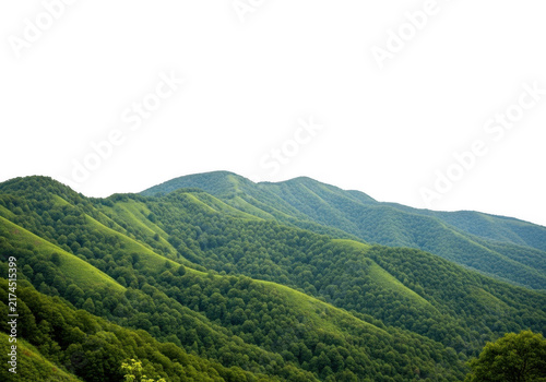 Lush green mountain range covered in dense forest isolated on transparent background