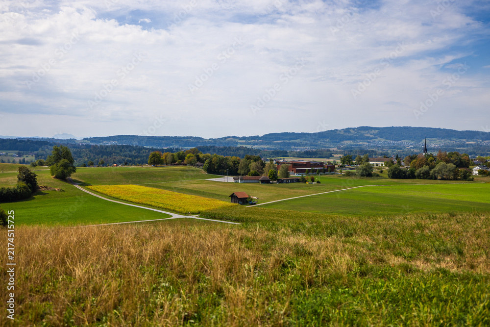 Obraz premium Golden fields and distant Swiss Alps in Zuercher Oberland