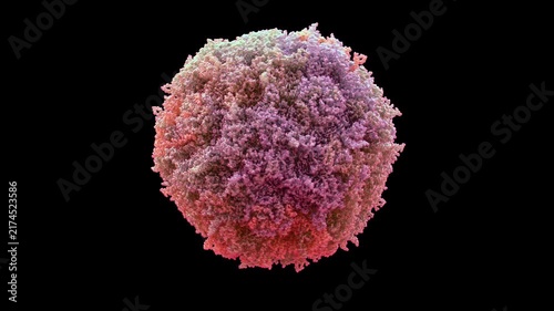 3D structure of cryo-EM infectious B19V capsid, T=1 icosahedral shell, self-replicating pathogenic parvovirus primarily for fifth disease, erythema infectiosum and aplastic crisis, loop animation.