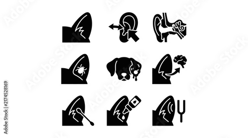 Hands holding various objects closeup.