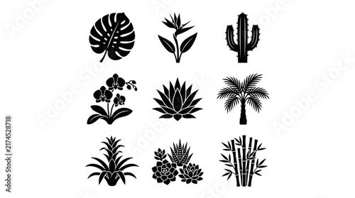 Collection of various tropical plants.