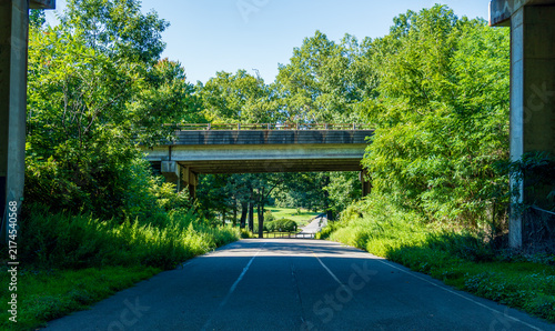 Road Leading Through Hubbard Park Beneath a Bridge in Meriden, Connecticut