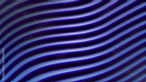 Abstract dark blue wavy lines background with smooth flowing motion and rhythmic patterns.