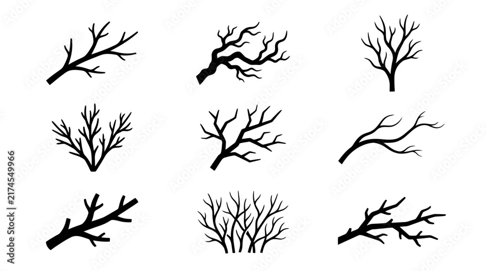 Obraz premium Collection of bare tree branch silhouettes.