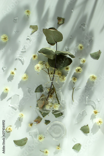 Eucalyptus branch in cracked glass vase surrounded by scattered flowers and shards on white surface