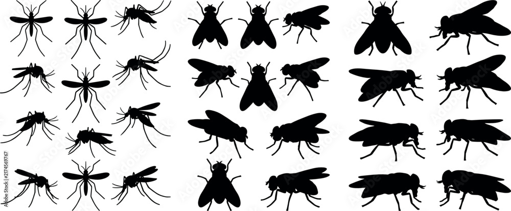 Fototapeta premium Mosquito and House Fly Silhouette Vector Set Featuring Various Insect Poses Bug Icons and Pest Control Graphics
