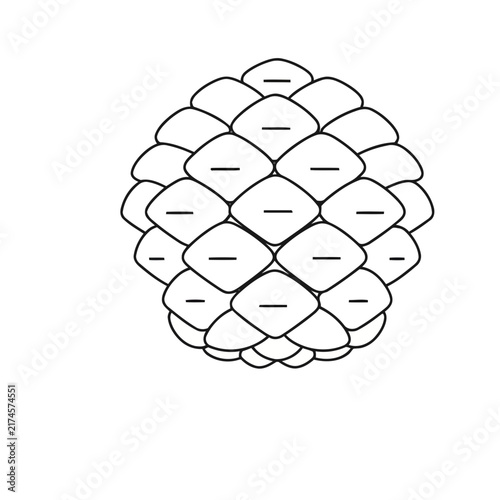 Pinecone outline