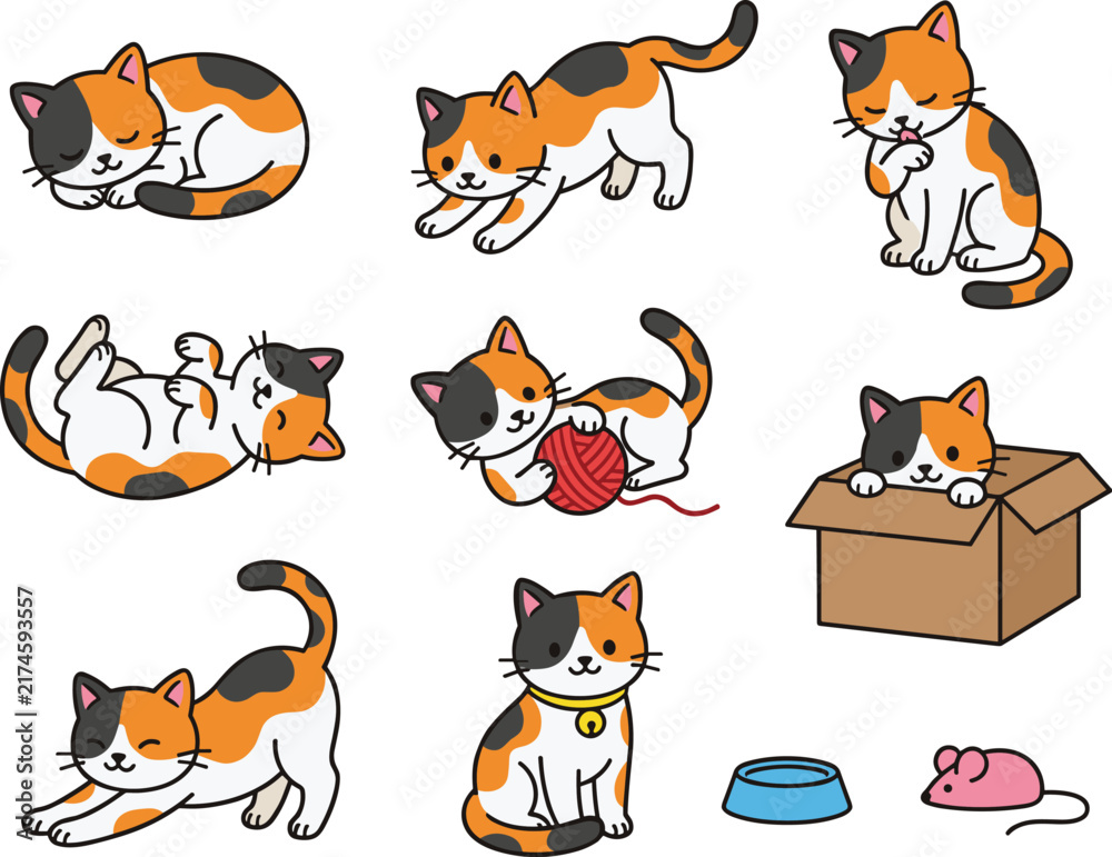 Fototapeta premium Cute Calico Cat Cartoon Vector Set Featuring Playful Kitten Sleeping Stretching Playing with Yarn and Sitting in Box Illustrations