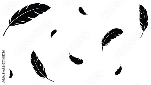 A set of black bird feather silhouettes isolated on a white background creating a decorative pattern for artistic design projects