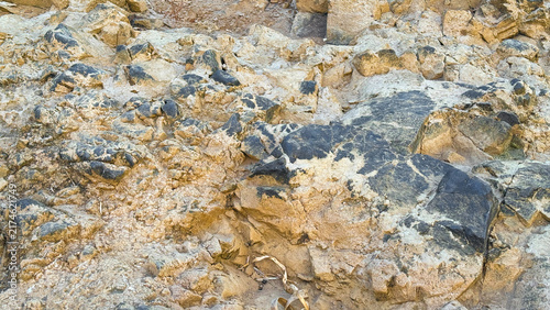 Fotografía Natural rock texture with volcanic patches in arid terrain background