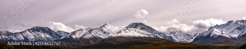 Obraz na plátne Denali National Park and Preserve snowscape panoramic landscape in Alaska
