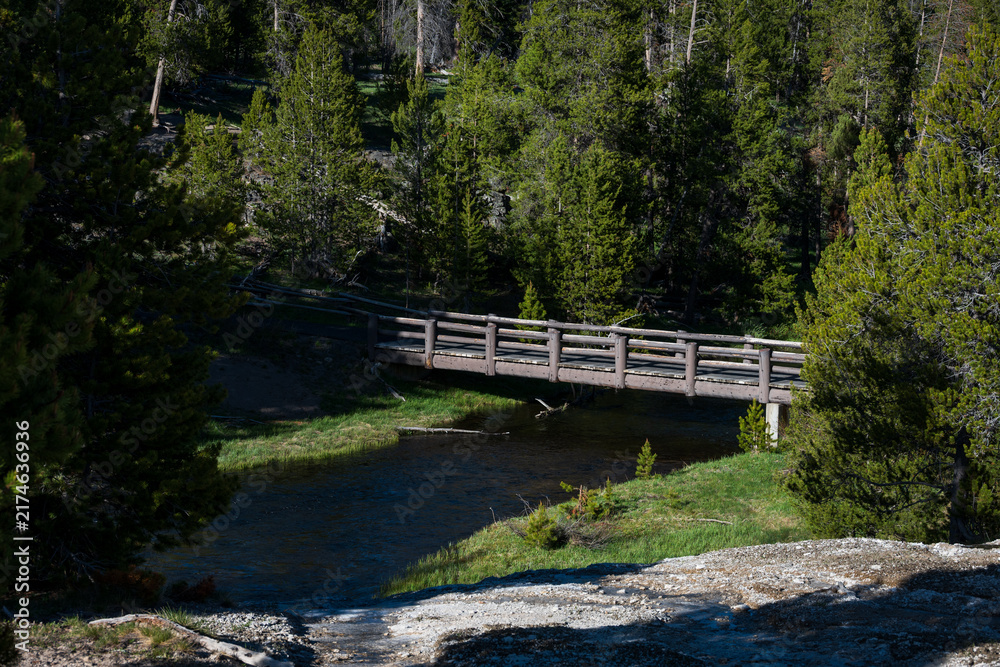 Obraz premium Wood log bridge over the Firehole River, trail through pine tree forest in Old Faithful area of Upper Geyser Basin, summer vacation exploring Yellowstone National Park