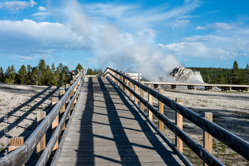 Photography Accessible wood boardwalk to Castle Geyser in Old Faithful area of Upper Geyser