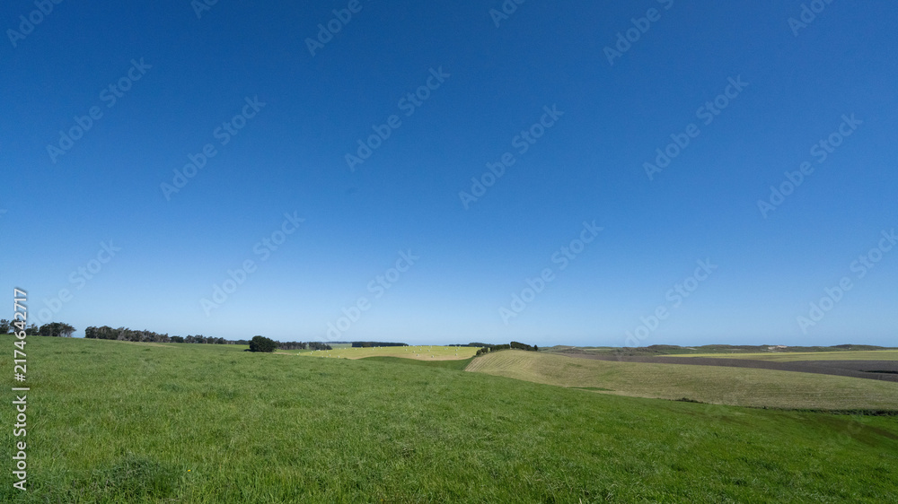 Fototapeta premium Vibrant Green Hills in an Open Landscape