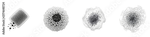 Set of abstract microscopic cellular structures isolated on black background