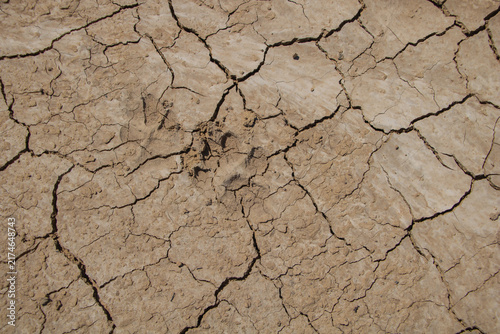Fotografía Cracked dry soil texture caused by drought and lack of water