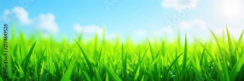 A vibrant green field of freshly cut grass, glistening with morning dew, under a clear blue sky Perfect for themes of new beginnings, spring, and natural freshness , green, rural