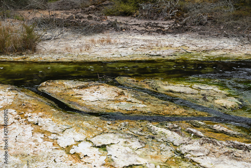 Hot water creek in Waimangu Volcanic Valley - Rotorua, New Zealand