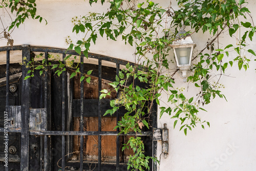 Rustic lantern and climbing vines