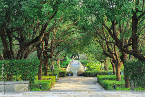 Foto Shady Tree-Lined Stone Path in a Lush Green Garden Park