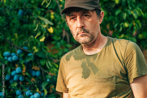 Принти на полотні Authentic portrait of a fruit grower standing in his plum orchard during harvest season