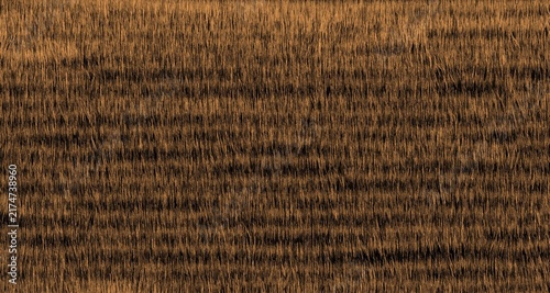 A natural background texture of orange grass or fur, with fine vertical lines. Ideal for use as a design background, wallpaper, digital texture, or creative backdrop for web and graphic design project