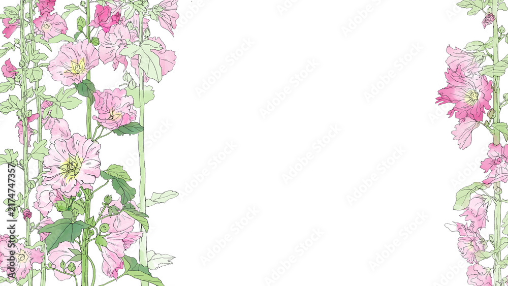 Photography Poster ピンクのタチアオイの花と茎の手描き水彩両サイド