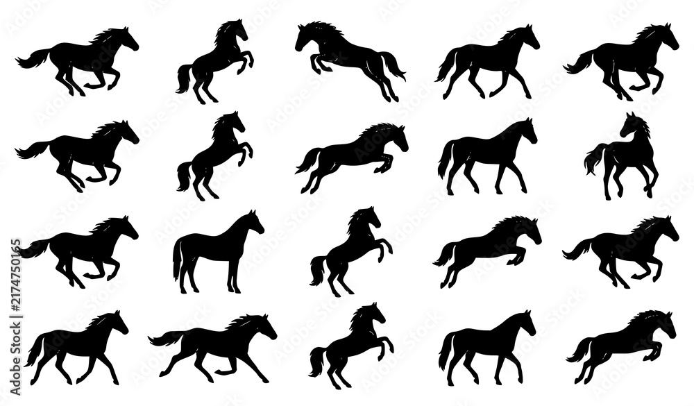 Obraz premium Dynamic Black Horse Running and Rearing Silhouette Vector Collection