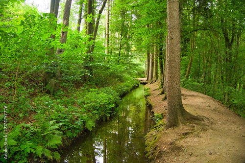Trusetaler Wasserfall in Thüringen