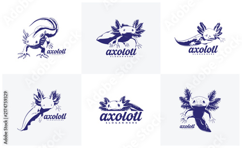 Set of Axolotl logo design vector. Silhouette Axolotl Template Illustration. Icon Symbol