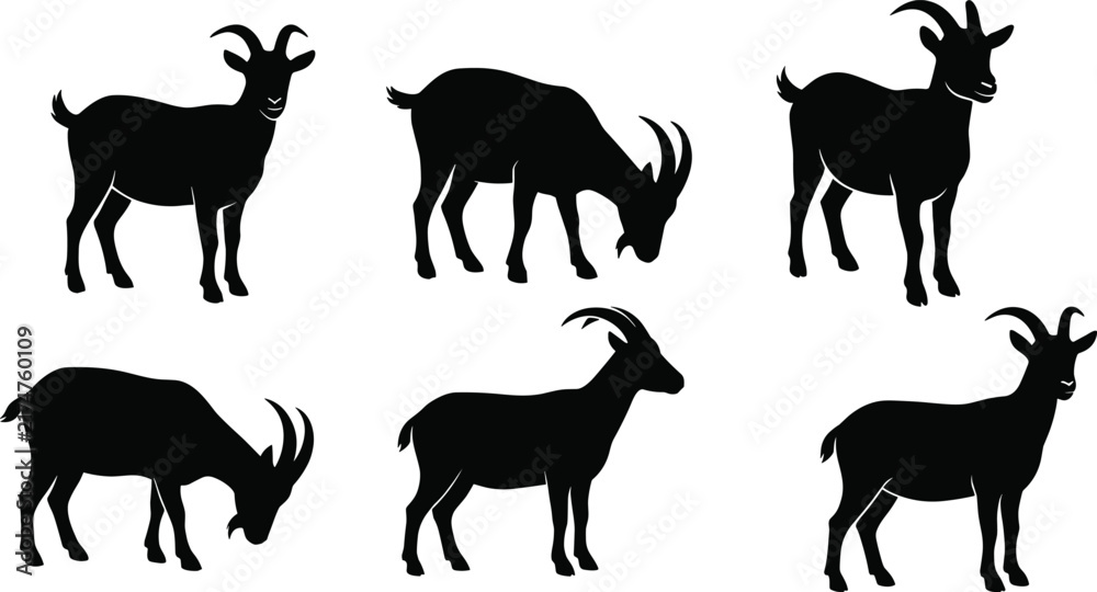 Fototapeta premium Collection of goat silhouettes in various standing and grazing poses for farm and livestock designs