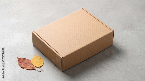 Blank kraft cardboard mailer box mockup on polished concrete floor with dried autumn leaves for packaging design