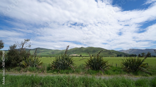 New Zealand Landscape with Green Hills and Cloudy Sky