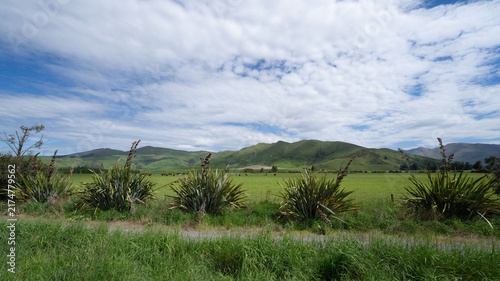 New Zealand Rural Landscape with Hills and Greenery