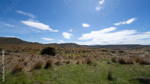 Bild auf Leinwand Natural Landscape in New Zealand