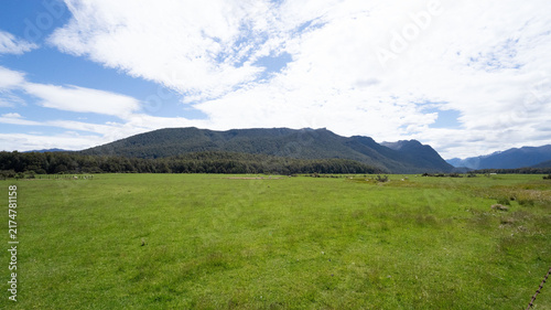 Bild auf Leinwand Mount Aspiring National Park, New Zealand - Green Pasture Landscape