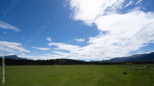 Obraz na płótnie Mount Aspiring National Park, New Zealand - Scenic Landscape